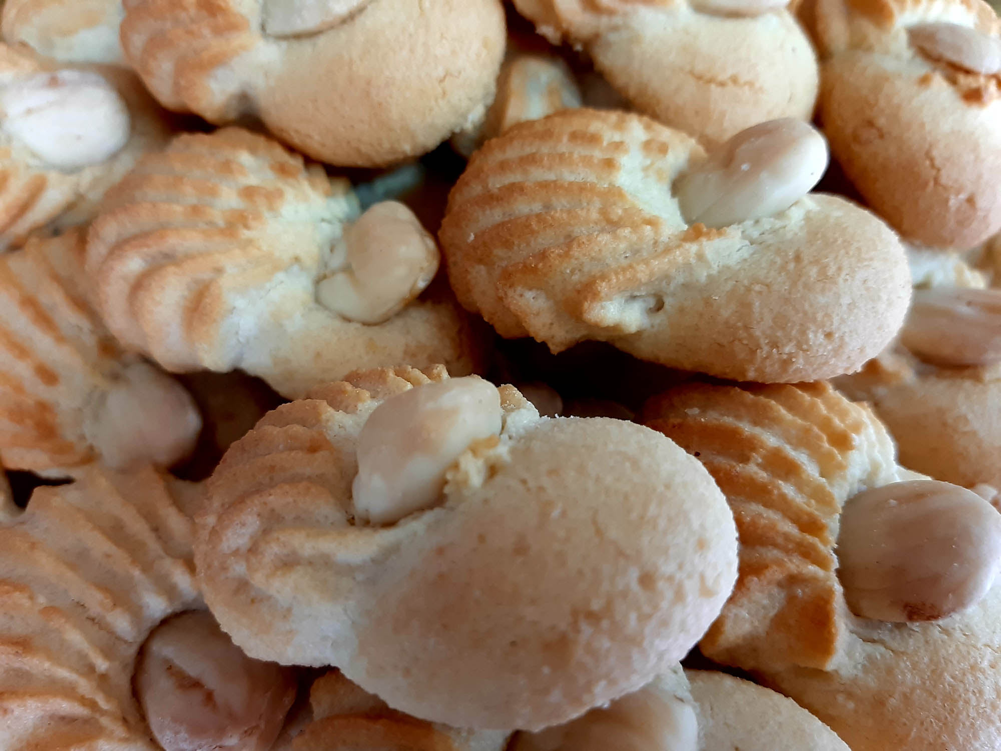 Pasticceria Secca